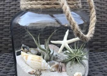 گیفت و هدیه